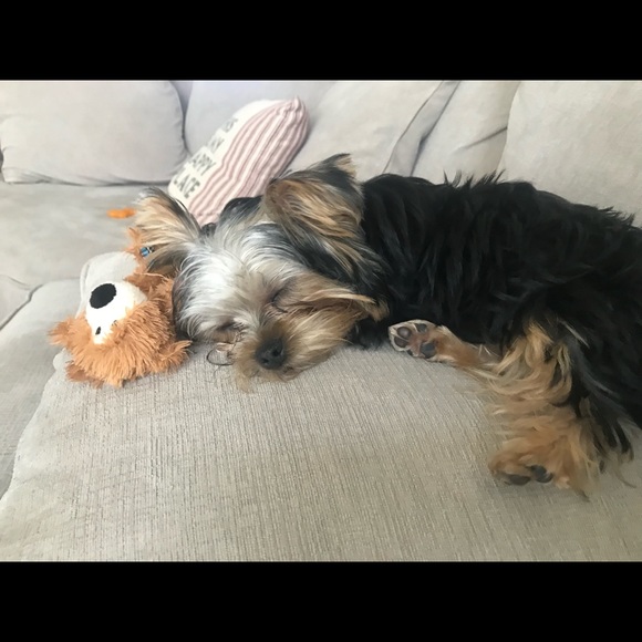 MEET ME 💋💋 - Picture 4 of 4